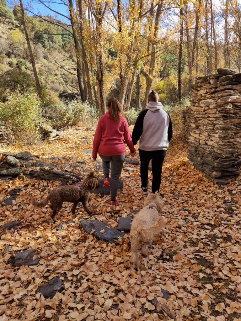 WhatsApp Image 2025-09-28 at 23.15.08